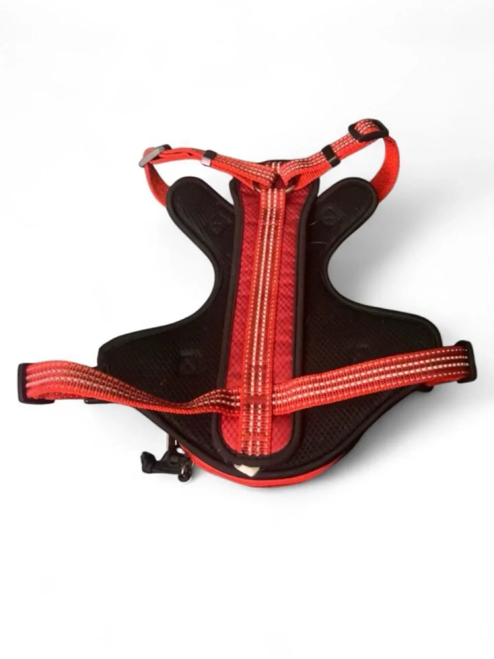 Kong durable harness